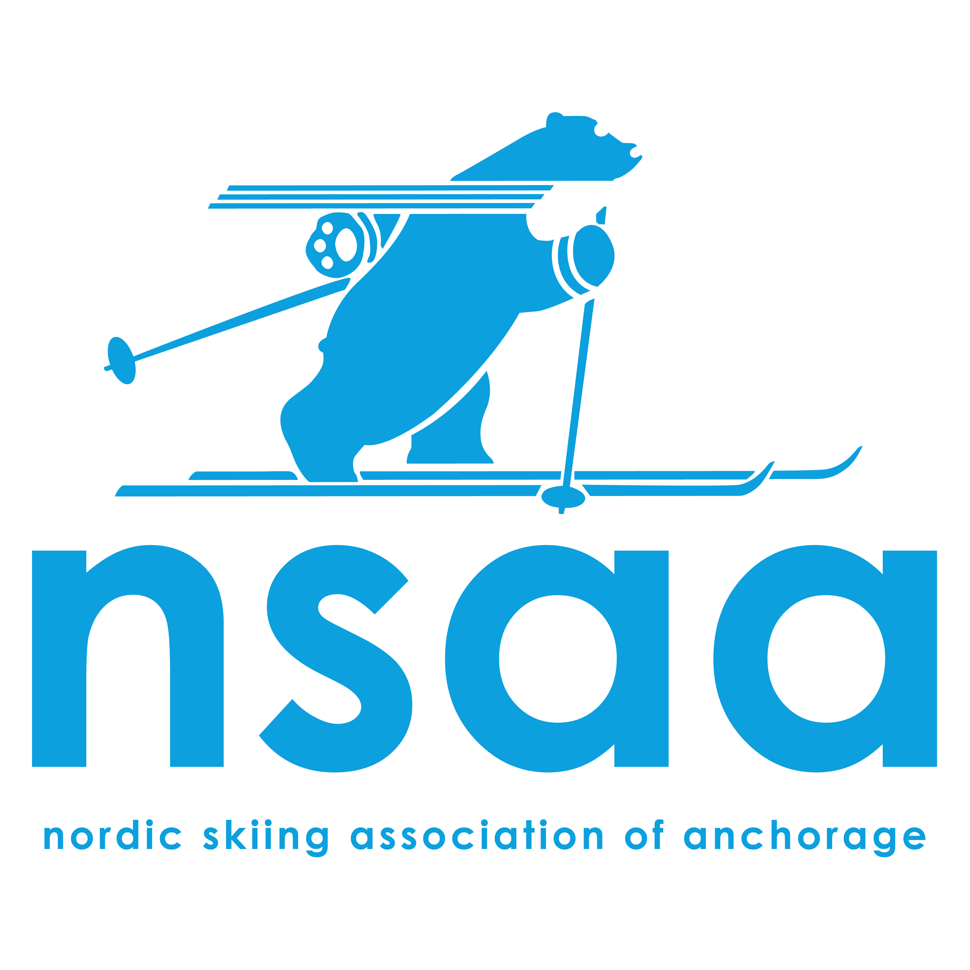 NSAA Logo
