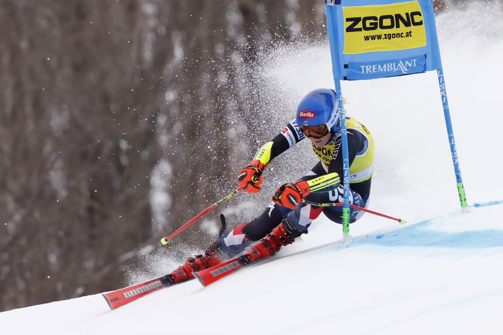 Shiffrin 