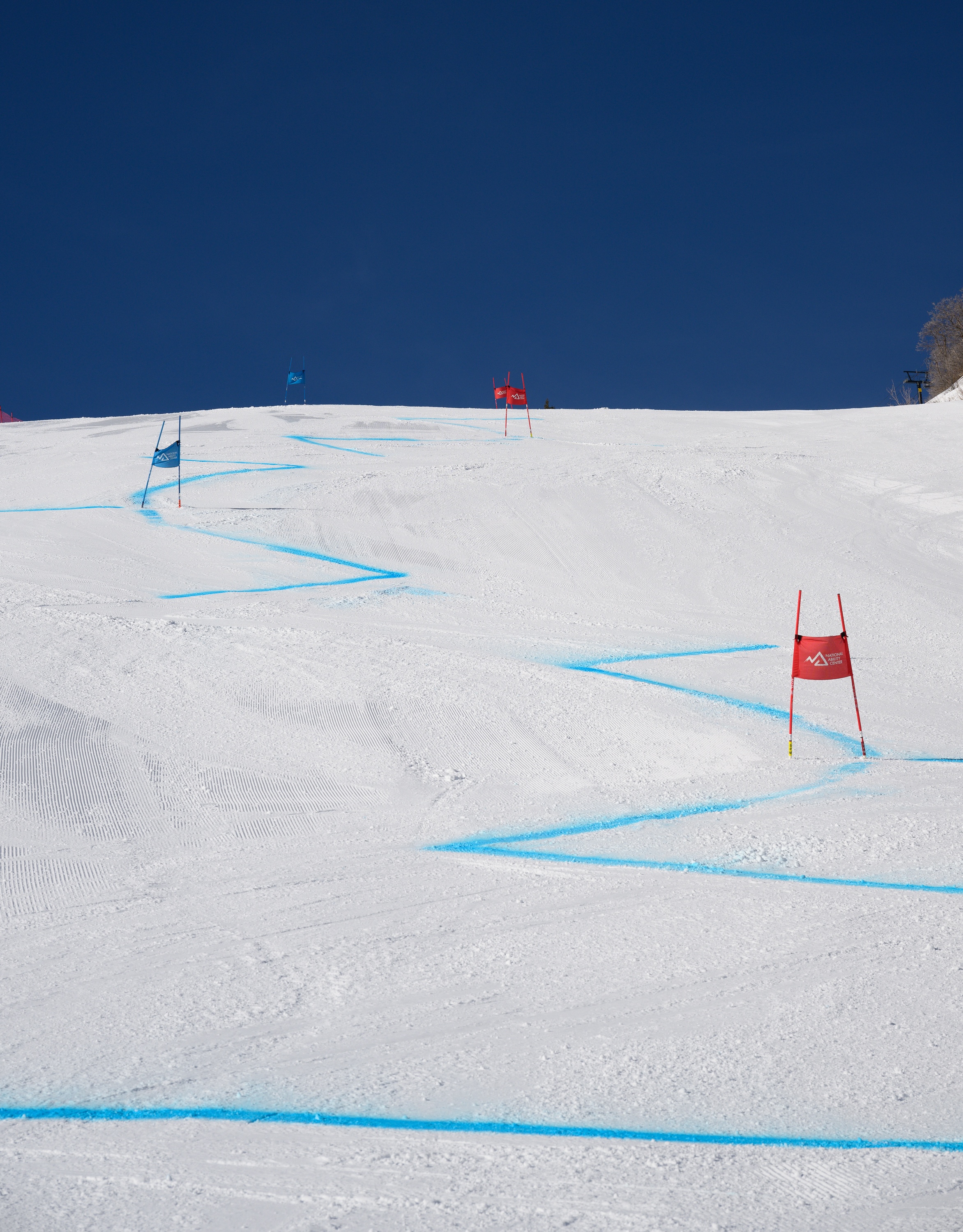 gates on an alpine course
