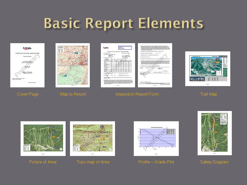 Report Elements