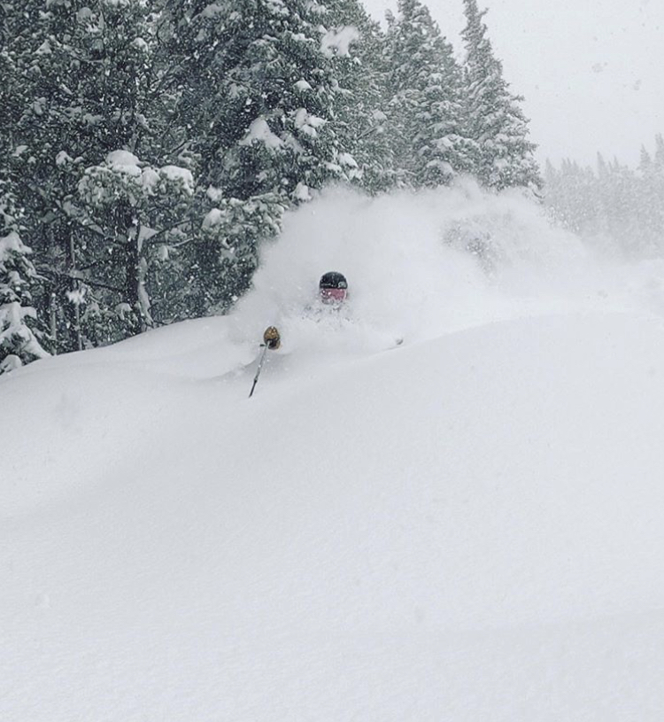 Maggie Voisin skiing neck-deep powder during Friday's cancellation day. (U.S. Ski & Snowboard - Dave Euler) Maggie Powder