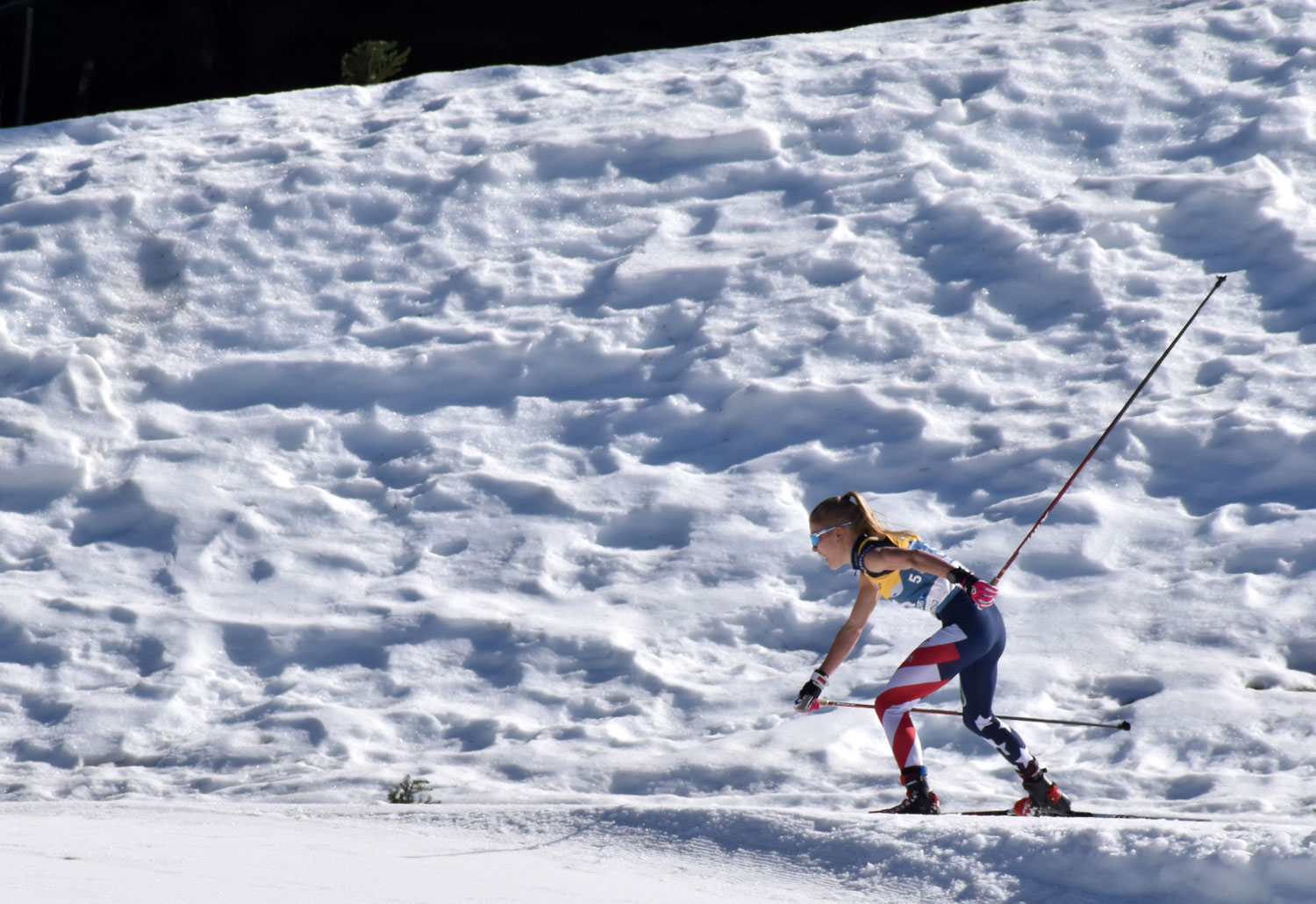 Sophia Laukli Sophia Laukli