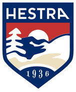 Hestra Gloves 