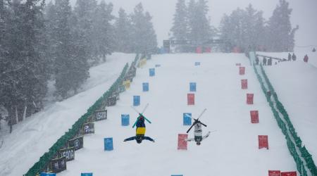 Dual Moguls