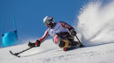 para alpine