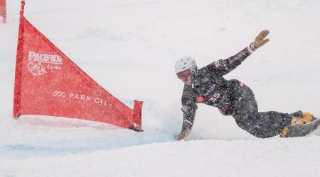 Snowboard Alpine Inscription