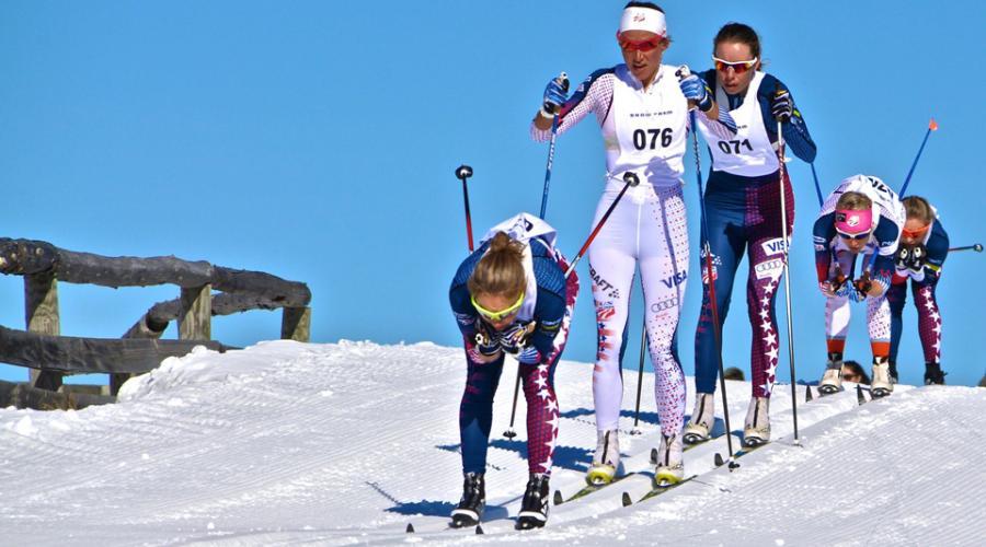 Continental Cup Criteria